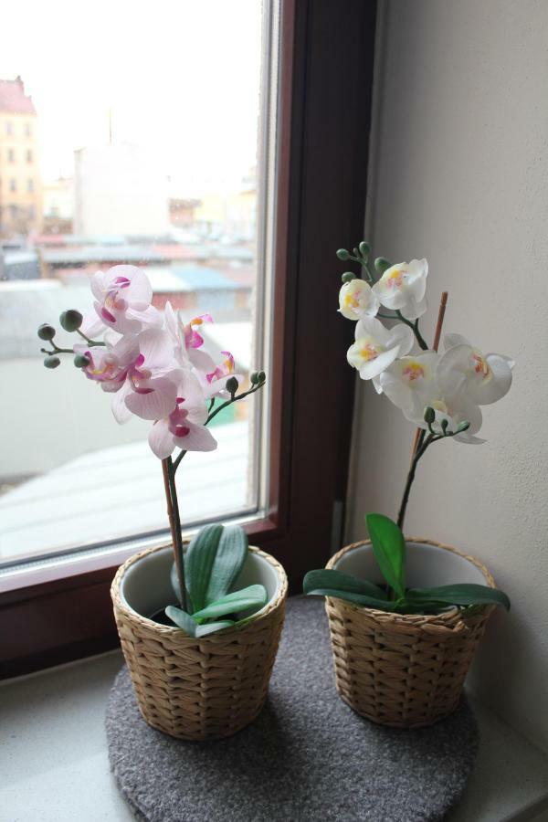 Kavi Apartments #2 เปิลเซน ภายนอก รูปภาพ